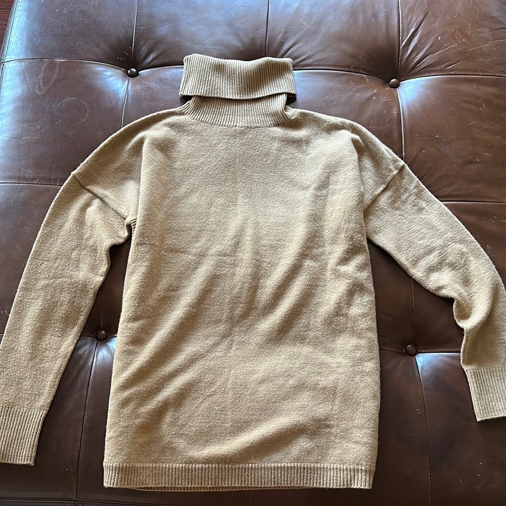 Beautiful French Connection Turtle Neck! 😌